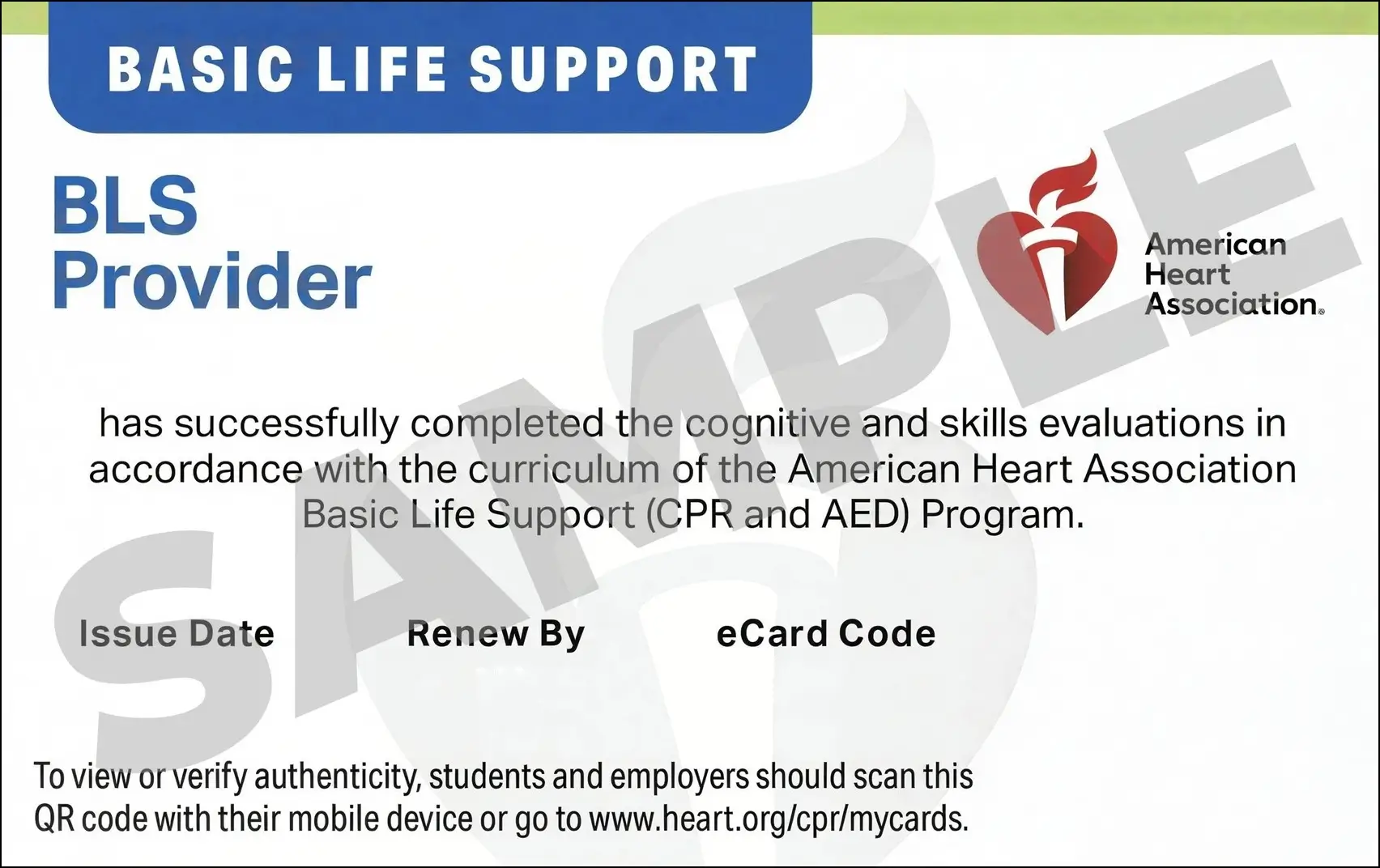 Sample American Heart Association AHA BLS CPR Card Certification from CPR Certification West Palm Beach